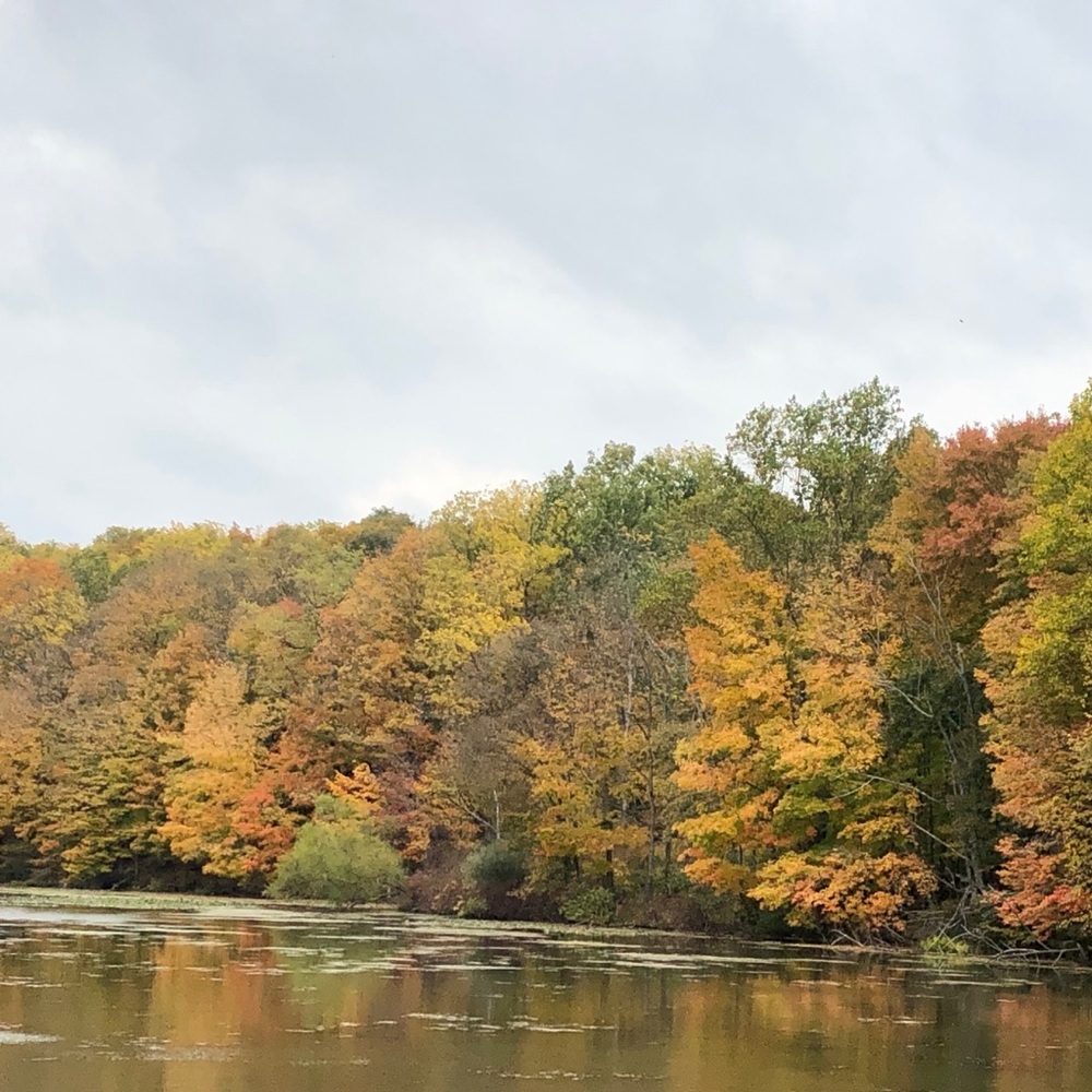 Meet your Posher, Khristie